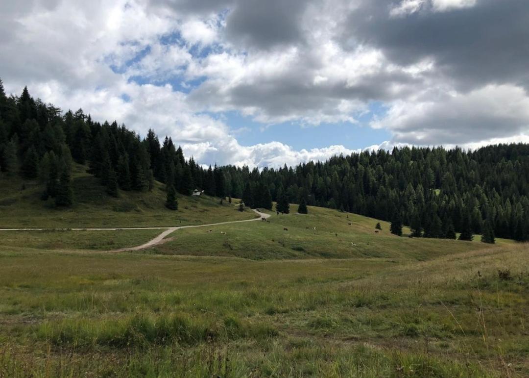 Appartamento Cologna Castelfondo Eksteriør billede