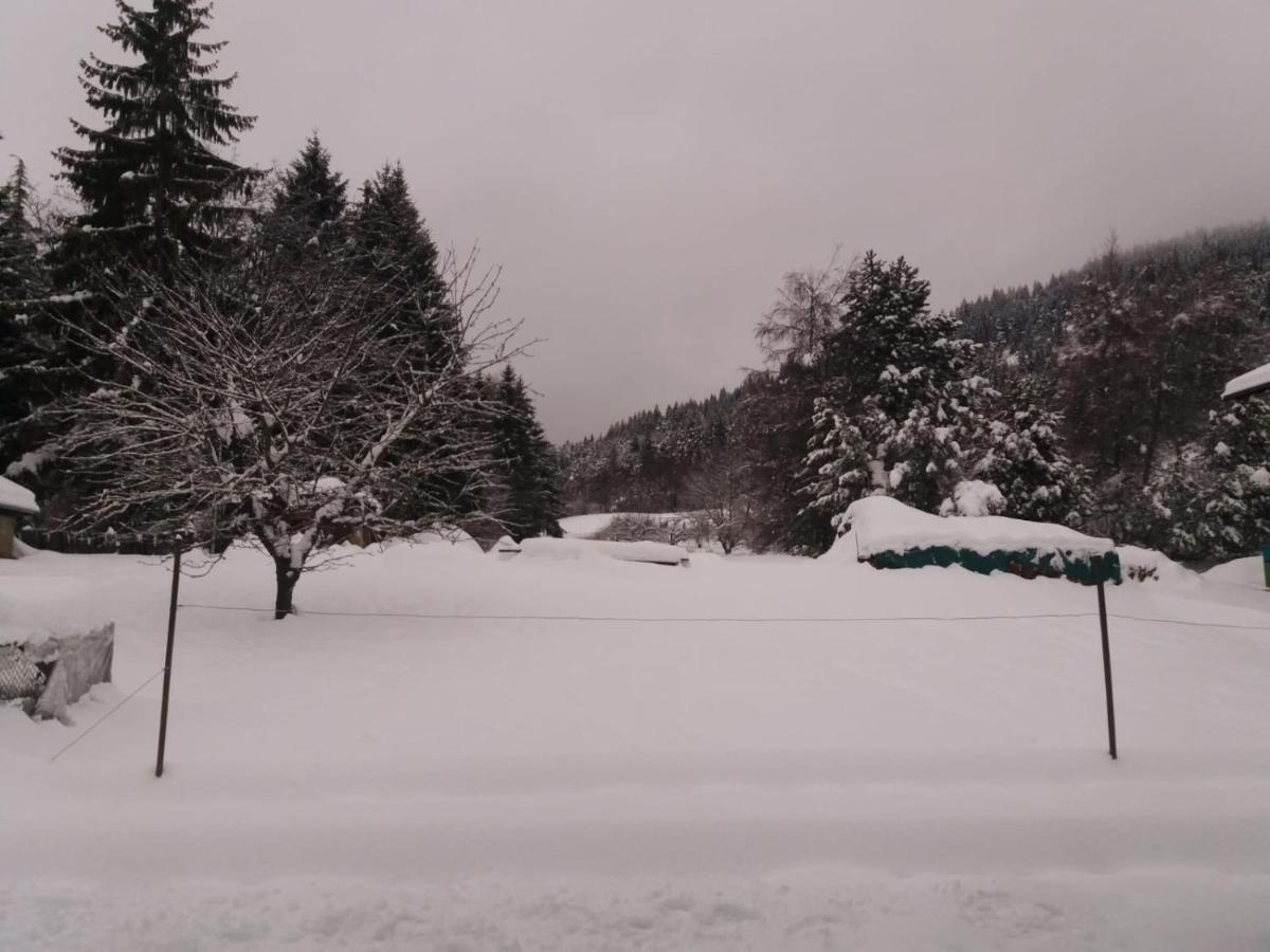 Appartamento Cologna Castelfondo Eksteriør billede